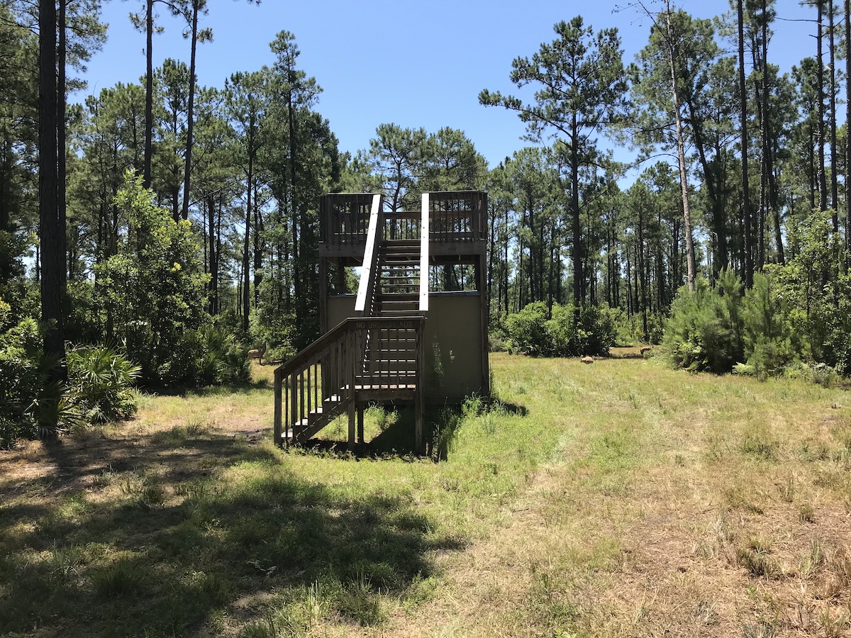 Richmond Hill Archery Range Department Of Natural Resources Division